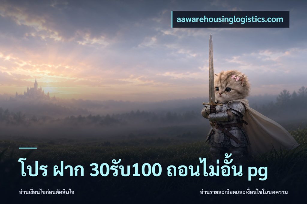 โปร ฝาก 30รับ100 ถอนไม่อั้น pg