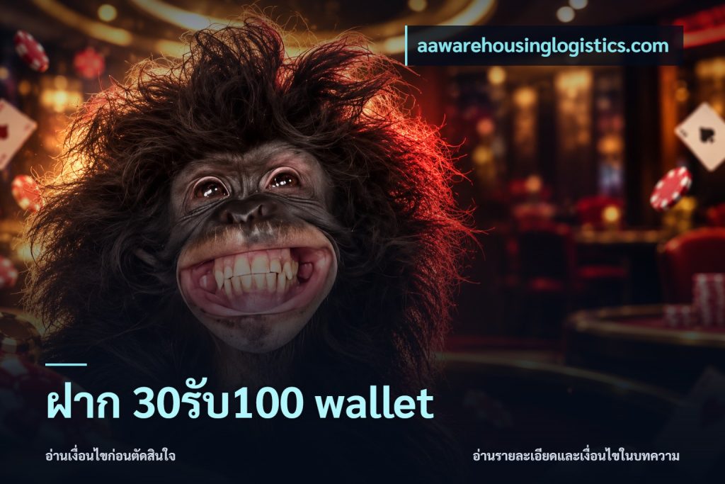 ฝาก 30รับ100 wallet